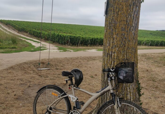 28, 29 Aout 5 et 6 Septembre la Loire à vélo.