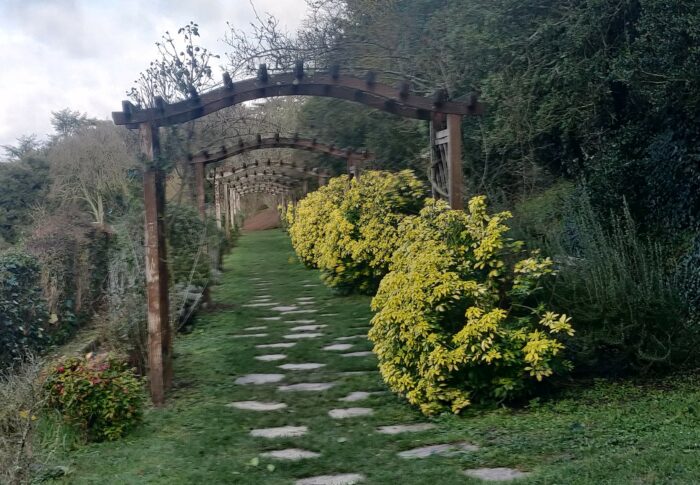 7 février 2021 Coudray macouard