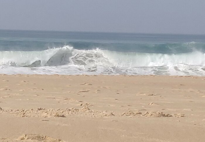 Du de 2 Mars au 5 Mars 2021