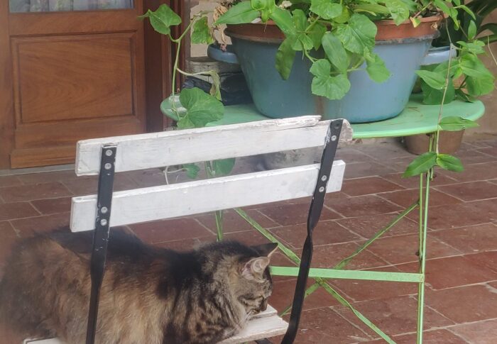 23 juillet la Bastide d armagnac