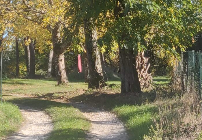 23 Octobre 2021 Début de Vacances