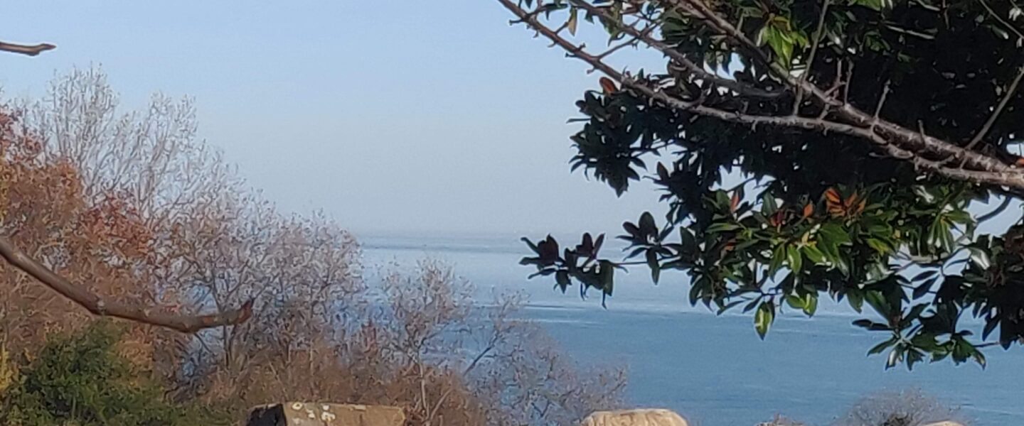 21 Decembre 2021 Hendaye