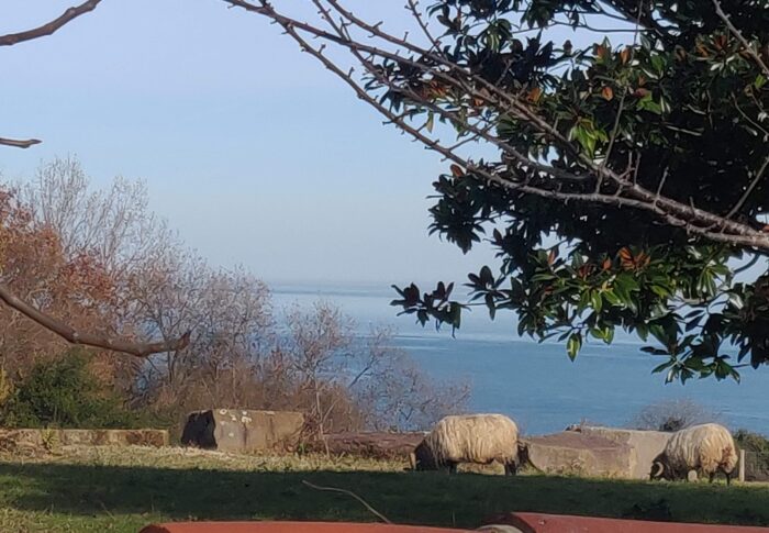 21 Decembre 2021 Hendaye