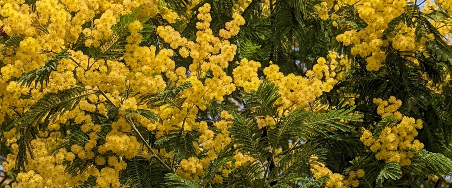 19 et 20 Mars 2022 Magesq