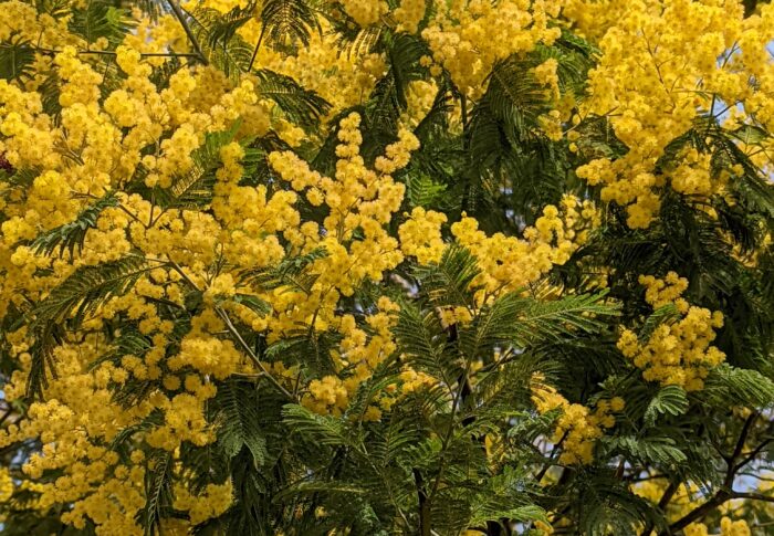 19 et 20 Mars 2022 Magesq