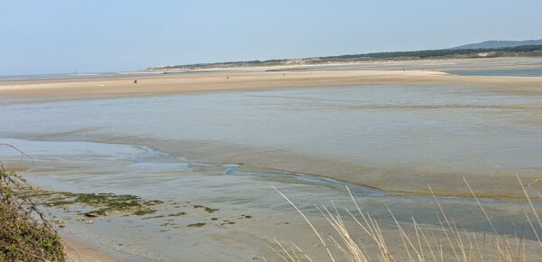 16 au 20 Avril 2022 La baie de Somme.